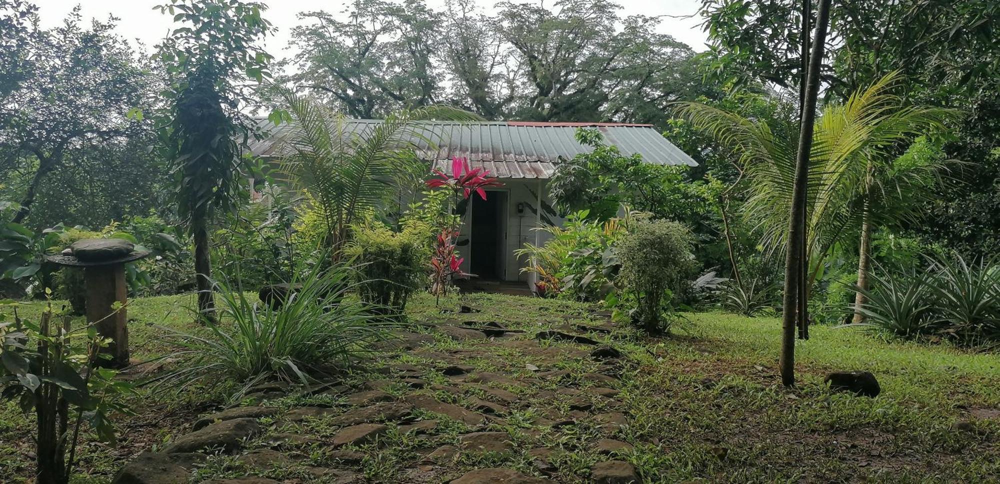 Casa De Andrea Βίλα Santo António Εξωτερικό φωτογραφία