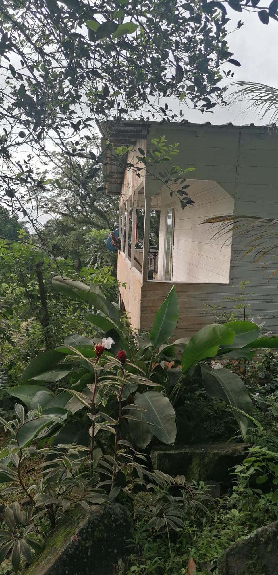 Casa De Andrea Βίλα Santo António Εξωτερικό φωτογραφία